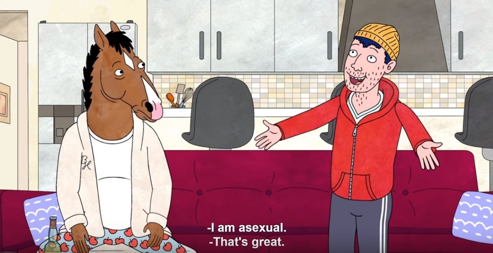 bojack horseman asexual bloc sexualité
